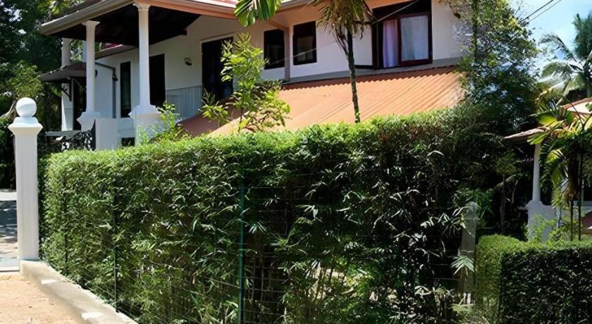 The Mgs Hotel Elpitiya  Eksteriør bilde